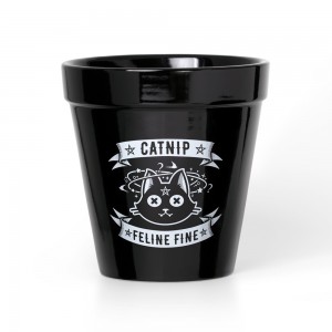 Catnip Feline Fine Cat Garden Plant Pot