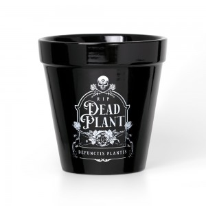 Dead Plant Gothic Pot