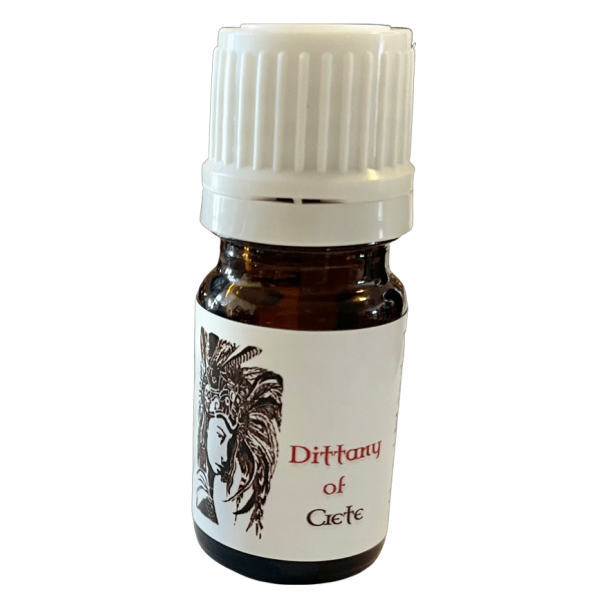 Dittany of Crete Witch Oil for Divination