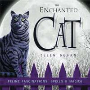 The Enchanted Cat