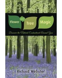 Flower and Tree Magic - Natural Enchantment Around You