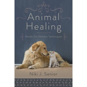 Animal Healing