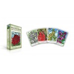 Australian Wildflower Reading Cards