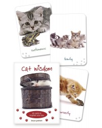 Cat Wisdom Cards