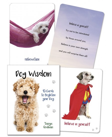 Dog Wisdom Cards