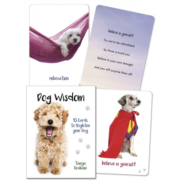 Dog Wisdom Cards