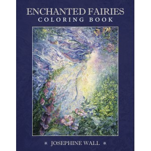 Enchanted Fairies Coloring Book