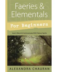 Faeries & Elementals for Beginners