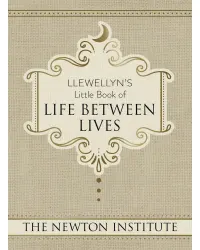 Llewellyn's Little Book of Life Between Lives