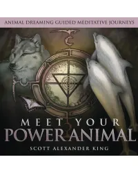 Meet Your Power Animal CD