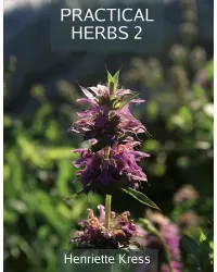 Practical Herbs 2