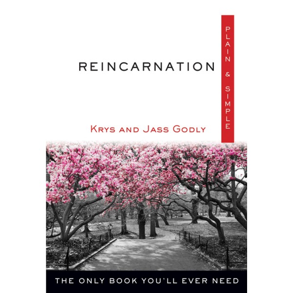 Reincarnation, Plain & Simple