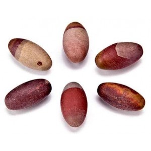 Shiva Lingam Stone - Set of 6 1 Inch Sacred Stones