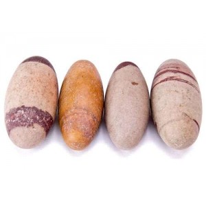 Shiva Lingam Stone - Set of 4 2 Inch Sacred Stones