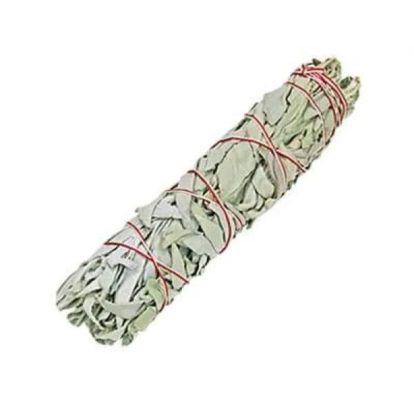 White Sage Large Smudge Stick