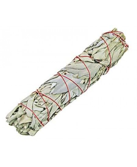 White Sage Smudge Stick - XLarge 8 Inch Bundle