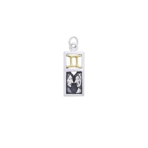 Gemini Silver and Gold Charm