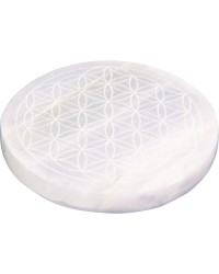 Flower of Life Selenite Charging Disk