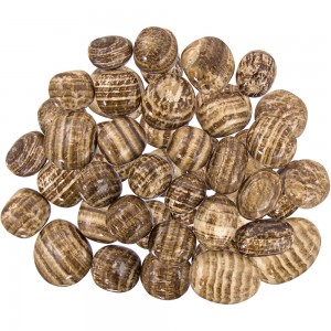 Aragonite Tumbled Stones - 1 Pound Pack