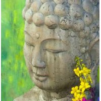 Serene Buddha Greeting Card with CD