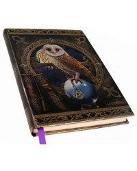 Spell Keeper Owl Embossed Journal