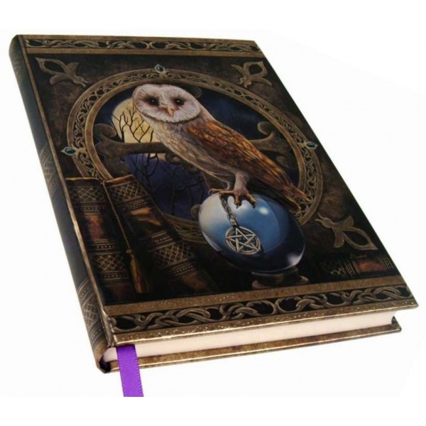 Spell Keeper Owl Embossed Journal