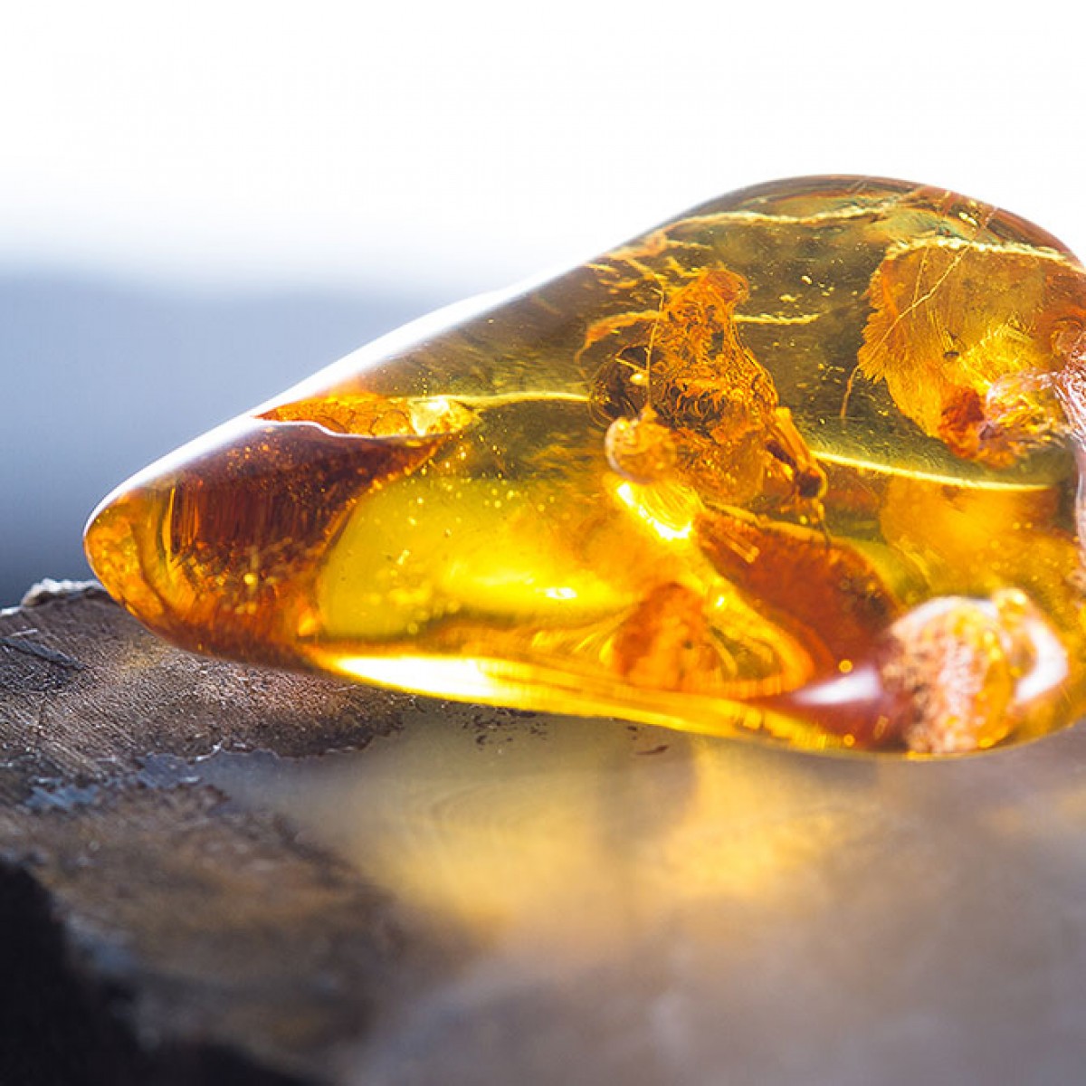 Amber Oil - Roller - Smudge Metaphysical