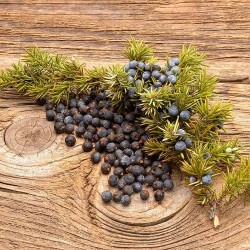 Juniper Oil