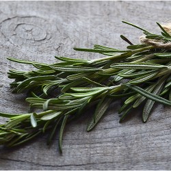 Rosemary Essential Oil