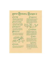 9 Healing Herbs Parchment Poster