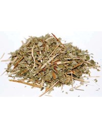 Agrimony Magical Herb - Agrimonia Eupatoria for Protection