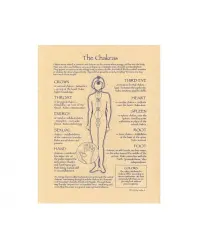 Chakras Reference Parchment Poster