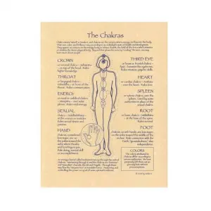 Chakras Reference Parchment Poster