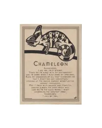 Chameleon Parchment Poster