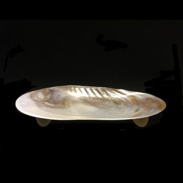 Silver Clam Shell with Legs