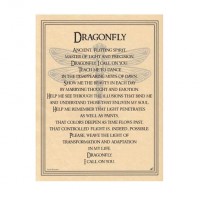 Dragonfly Prayer for Transformation Parchment Poster