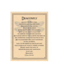 Dragonfly Prayer for Transformation Parchment Poster