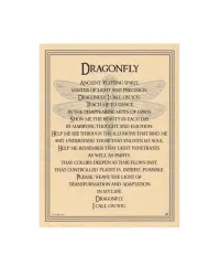 Dragonfly Prayer for Transformation Parchment Poster