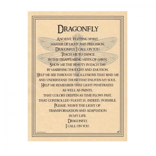 Dragonfly Prayer for Transformation Parchment Poster