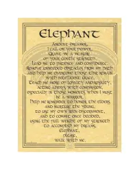 Elephant Animal Spirit Parchment Poster