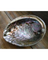 Abalone Shell Bowl - Extra Large