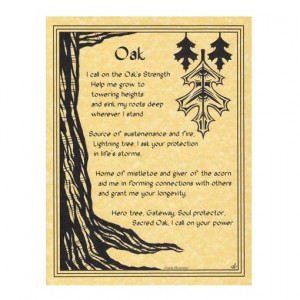 Oak Tree Blessing Parchment Poster