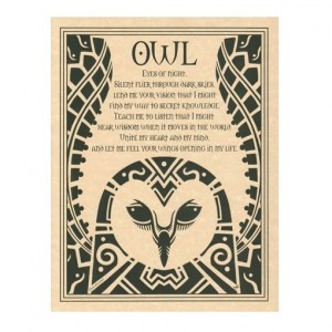 Owl Prayer for Wisdom Parchment Poster