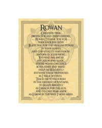 Rowan Tree Blessing Parchment Poster