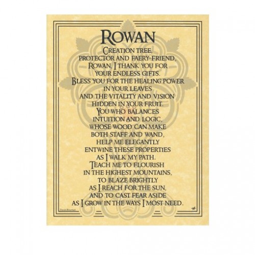 Rowan Tree Magick and Meaning Printed Book of Shadows Poster Page