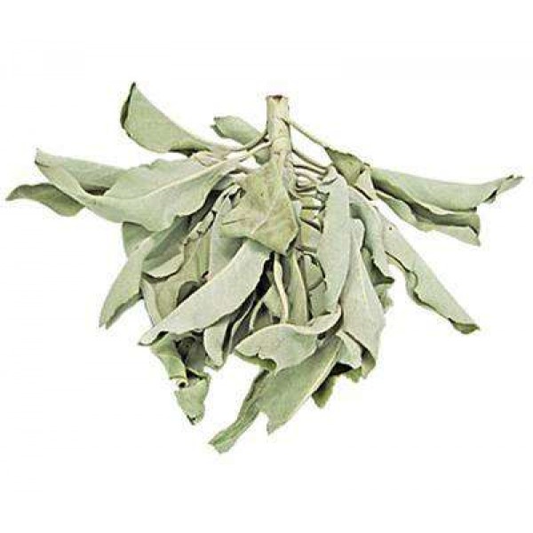 White Sage Leaves Loose Herb