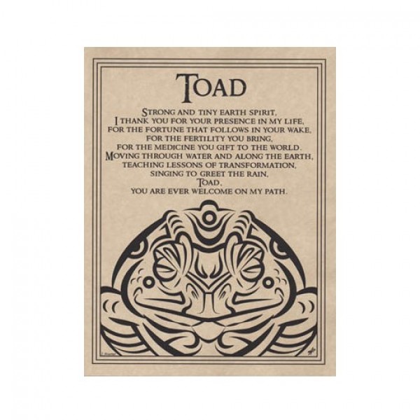 Toad Animal Spirit Prayer Parchment Poster